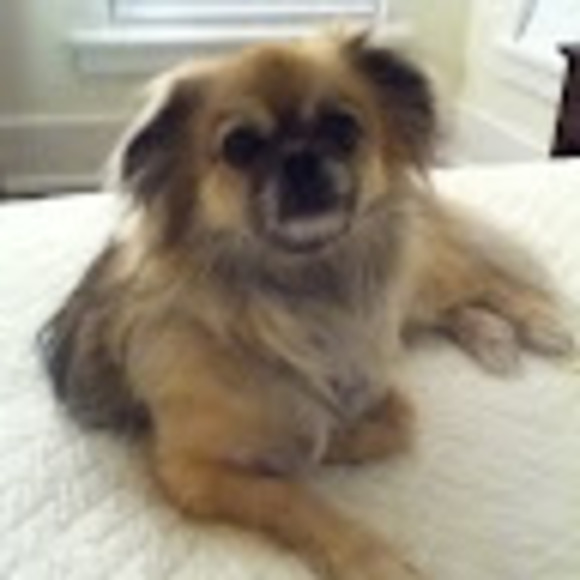 Meet your Posher, R - Picture 1 of 1